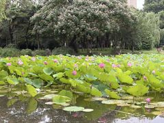 -堤角公园