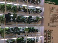 -AEON永旺超市(天津津南店)