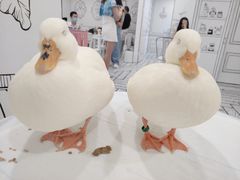 -白夜2D咖啡馆
