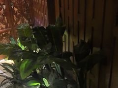 -紫莲花足道(柯桥古镇店)