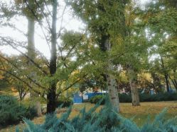 -大望京儿童游乐场