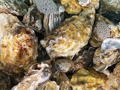-沿海渔家院蒸汽海鲜·东北菜(东戴河店)