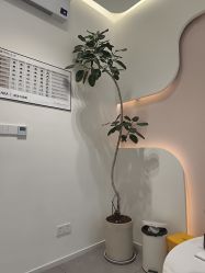 -杭州医巢医疗美容