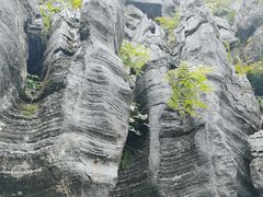 -梭布垭石林景区