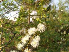 -那琴半岛地质海洋公园