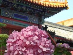-北京市劳动人民文化宫(太庙)