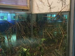 -上海昆虫博物馆