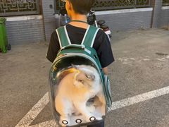 -美联众合爱康动物医院•复杂内科•肿瘤科•牙科•腔镜诊疗中心