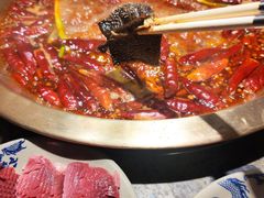 -小龙坎火锅(春熙太古里店)