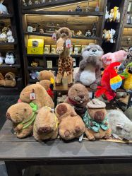 -Zoolung Zoolung动物主题公园(海信广场店)