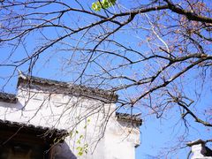 -塔川景区