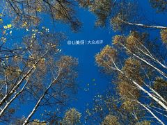 -汤旺河林海奇石景区