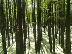 -青山湖景区