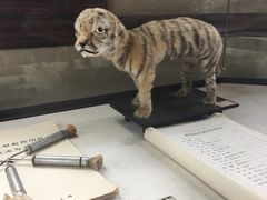 -北京动物园-畅观楼