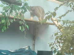 -青藏高原野生动物园