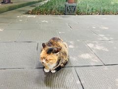 -成都杜甫草堂博物馆