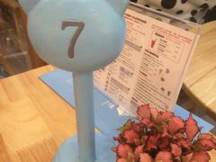 -猫的天空之城概念书店(印象城购物中心店)