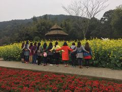 -广州市石门国家森林公园