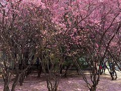 -石家庄市动物园