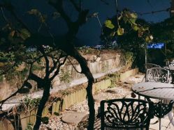 -罗亚帝·NASHOW纳秀形象设计