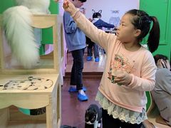 -李小姐の猫咖啡馆(五角场店)