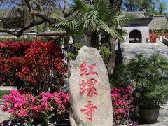 -红螺寺