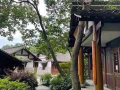 -中国茶叶博物馆(双峰馆区)
