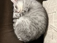 -隅cafe(傅厚岗店)