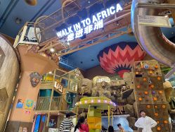 -卡通尼·Safari非洲探索乐园·生日会(金桥国际商业广场店)