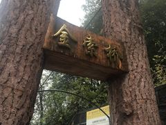-遂昌金矿国家矿山公园
