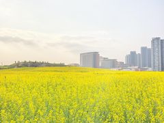 -光明小镇欢乐田园