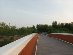 -马家湾湿地公园