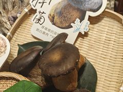 -若蘭慈·无国界素食料理(欢乐海岸店)