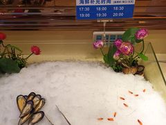 -萧邦音乐会所KTV·蒸汽活海鲜自助(福田店)