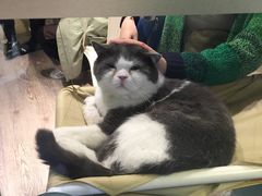 -小时光咖啡馆(开森度假森林店)