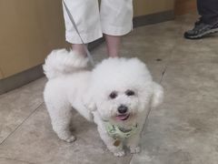 -美联众合动物医院·24h转诊中心