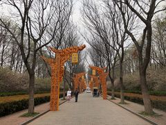 -洛阳市隋唐城遗址植物园