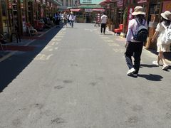 -新疆红山干果市场