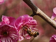 -江南大学(蠡湖校区)