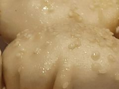 -小杨生煎(湟普汇店)