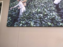 -奈雪的茶(金凤万达PRO店)