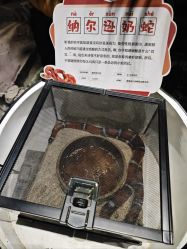 -酷嗒动物文化乐园(cutezoo西溪乐天城店)