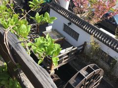 -慢丽江·云南野生菌土鸡锅(西山店)