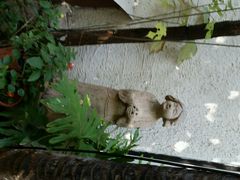 android_upload_pic-新竹里馆·花园餐厅(兴苑路店)