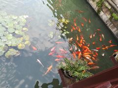 -绍兴饭店知遇楼(环山路店)