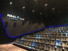 -奥斯卡升龙国际影城(RealD Cinema)