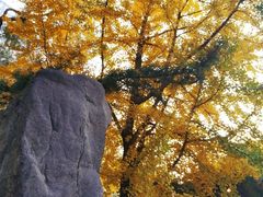 -辽宁大学(崇山校区)