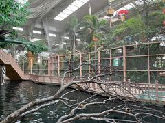 -南宫五洲植物乐园