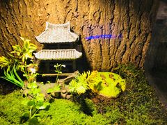 -梦幻海洋王国(吾悦广场张家港店)