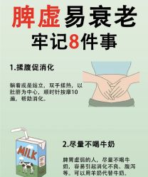 -Fundi张玉珊修身堂·indiba·BTL科技瘦身